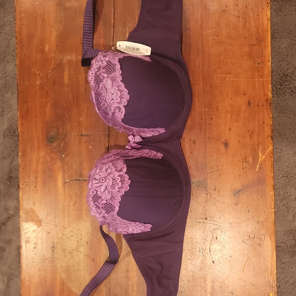 Sexy bra